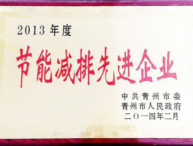 公司被评为2013年度节能减排企业