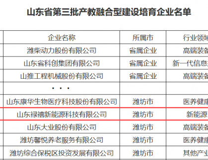 喜报！山东禄禧新能源科技有限公司获批山东省第三批产教融合型企业